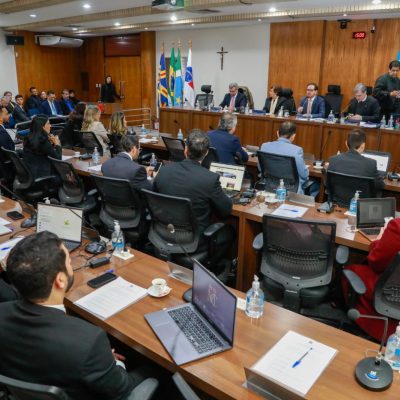 Conselho Seccional debate avanços no atendimento do INSS