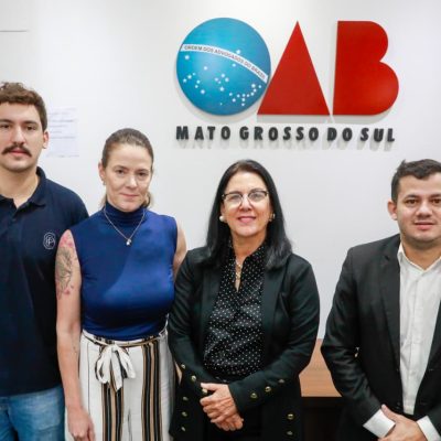 Comissão de Cibersegurança da OAB/MS avança na elaboração de cartilha sobre segurança digital e uso ético da IA
